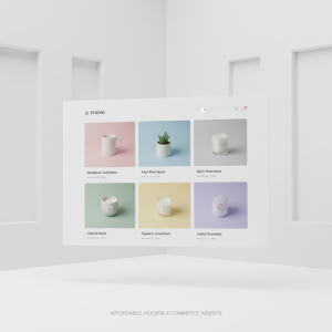 Start-up E-Commerce